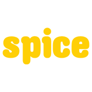 What DIGISPICE does