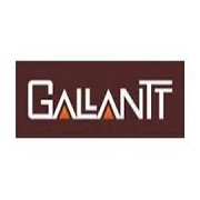 What GALLANTT does