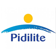 What PIDILITIND does