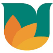 What UJJIVANSFB does